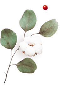 floating_image_06 https://kismett.co/wp-content/uploads/2020/10/floating_image_06.png
