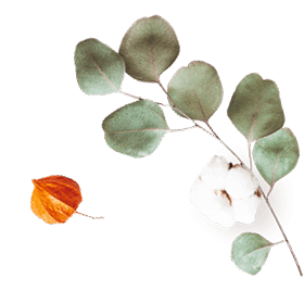 floating_image_07 https://kismett.co/wp-content/uploads/2020/10/floating_image_07.png