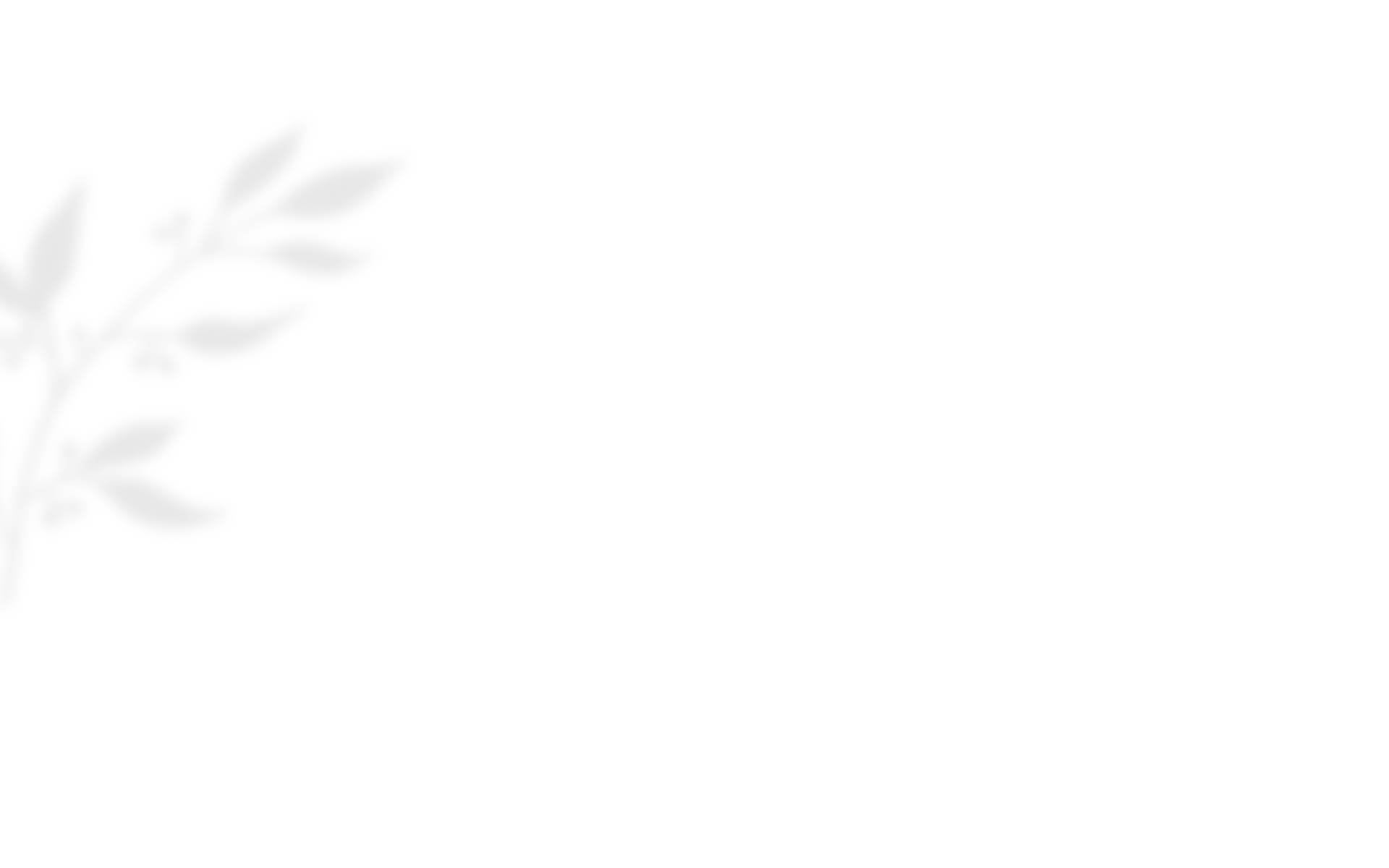 https://kismett.co/wp-content/uploads/2020/10/shadow_leaves_03.png
