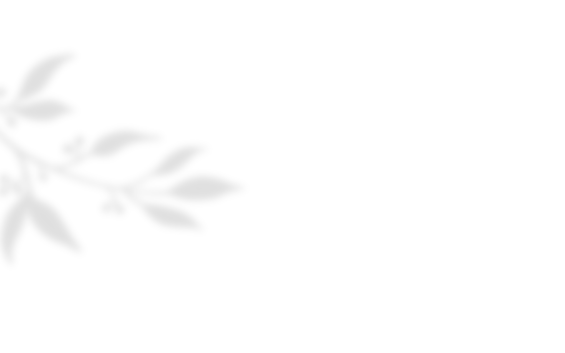 https://kismett.co/wp-content/uploads/2020/10/shadow_leaves_04.png