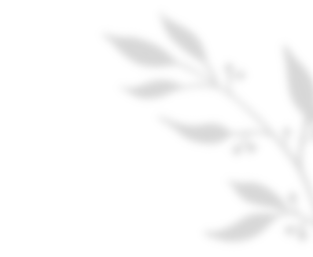 https://kismett.co/wp-content/uploads/2020/11/shadow_leaves_01.png