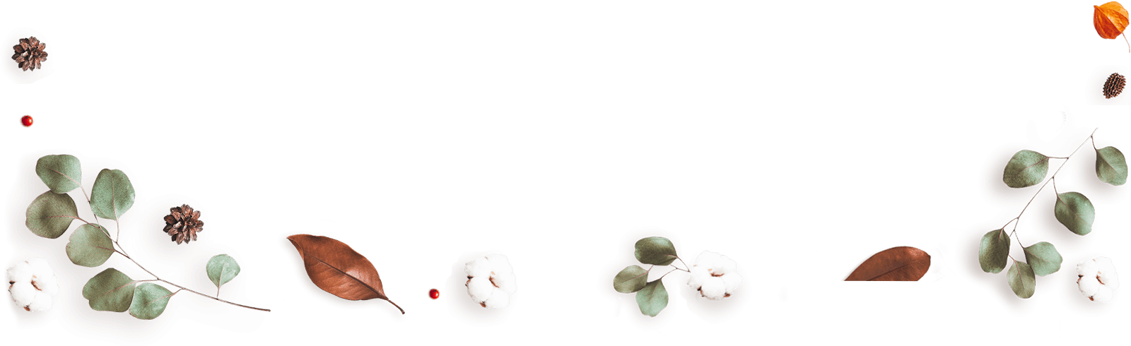floating_image_13 https://kismett.co/wp-content/uploads/2020/12/floating_image_13.png