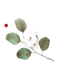 floating_image_flower_01 https://kismett.co/wp-content/uploads/2020/12/floating_image_flower_01.png