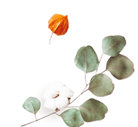 floating_image_flower_02 https://kismett.co/wp-content/uploads/2020/12/floating_image_flower_02.png