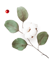 https://kismett.co/wp-content/uploads/2020/12/floating_image_flower_03.png