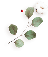 https://kismett.co/wp-content/uploads/2020/12/floating_image_flower_04.png